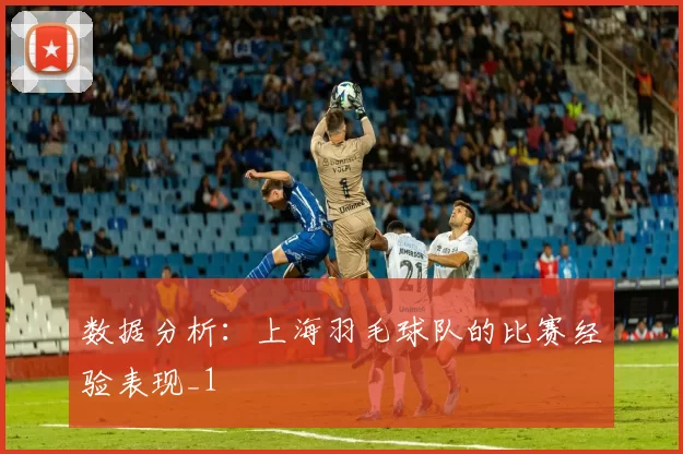 数据分析：上海羽毛球队的比赛经验表现_1