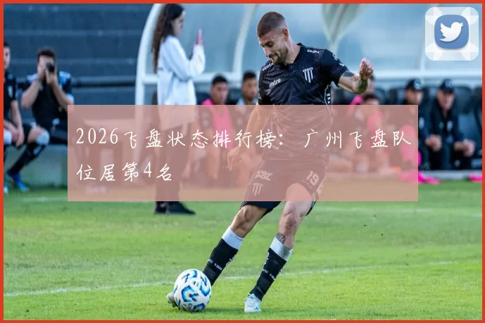 2026飞盘状态排行榜：广州飞盘队位居第4名