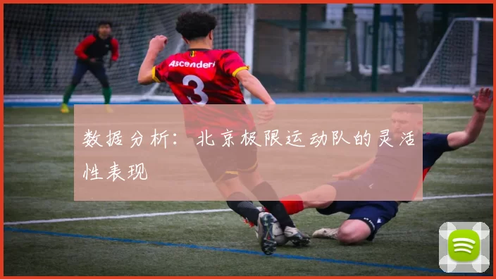 数据分析：北京极限运动队的灵活性表现